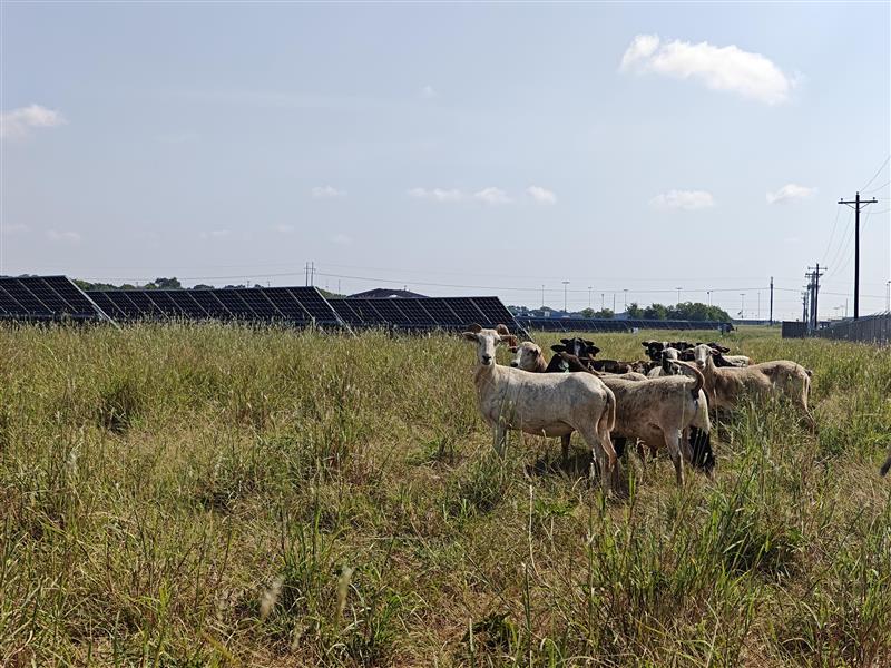 Hybrid Energy Systems